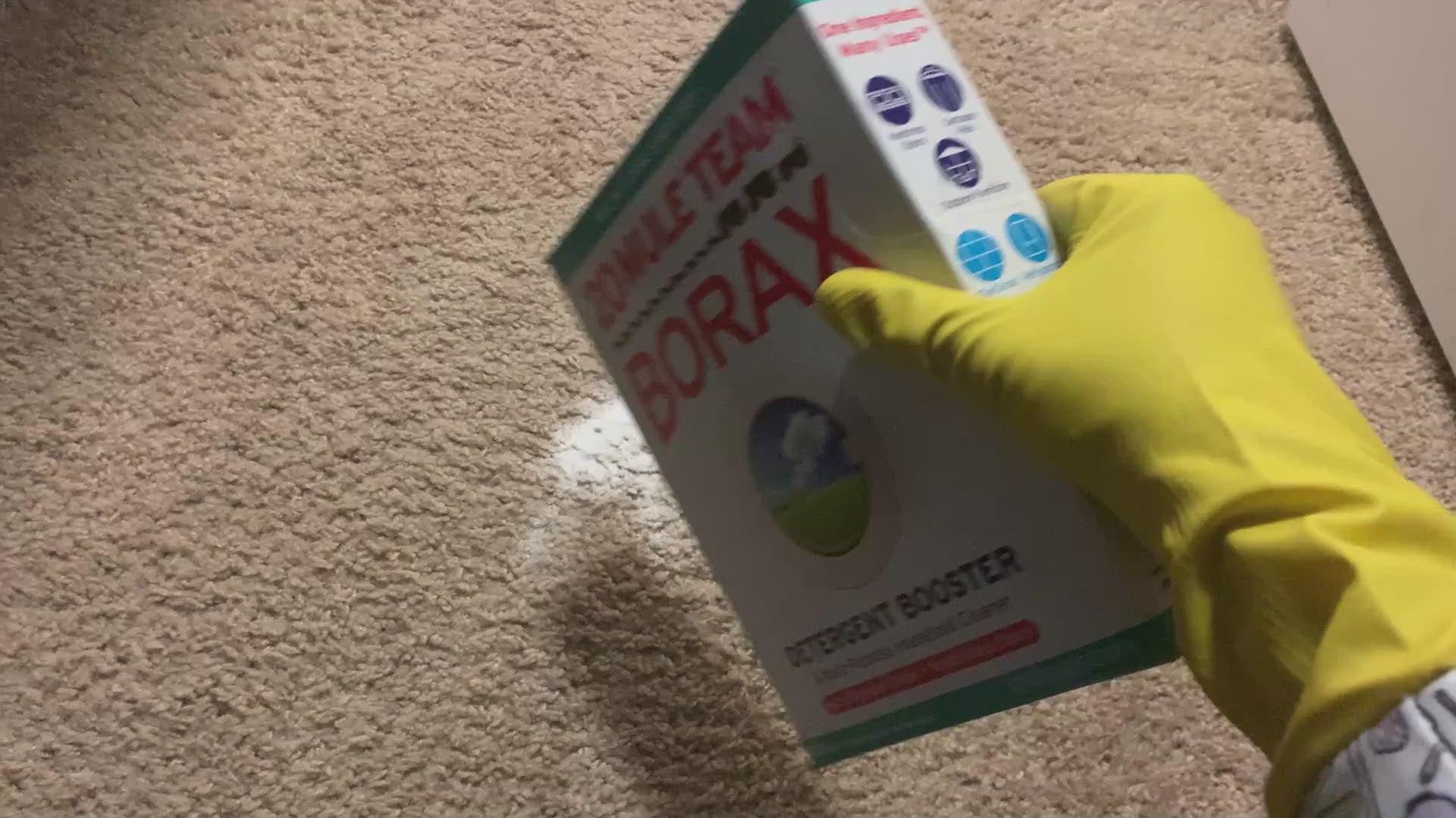 'Video thumbnail for how to clean your carpet with borax'