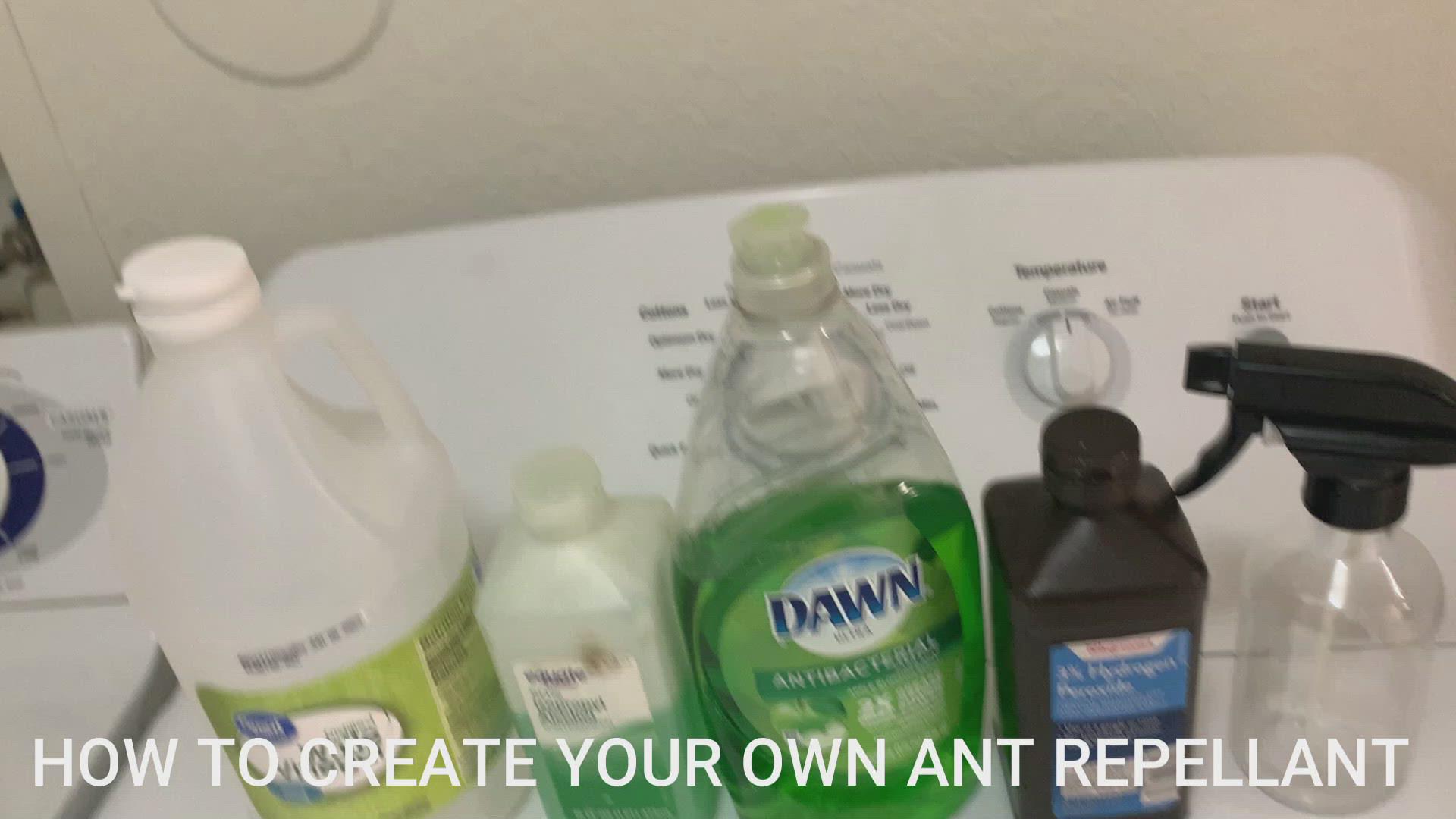 'Video thumbnail for How to make your own ant repellant'