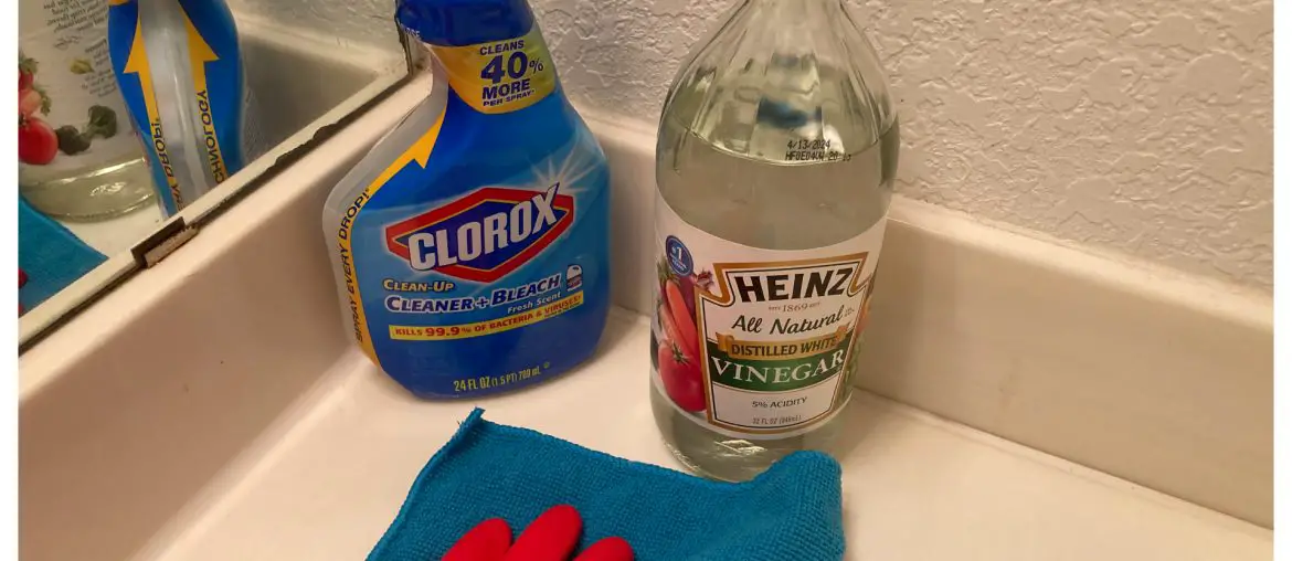 16 FANTASTIC BATHROOM CLEANING HACKS YOU SHOULD KNOW – Notes From The Porch