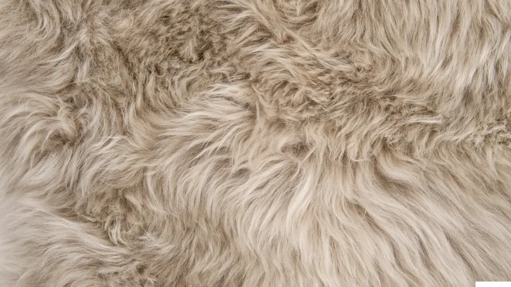 How to clean sheepskin rug Notes From The Porch