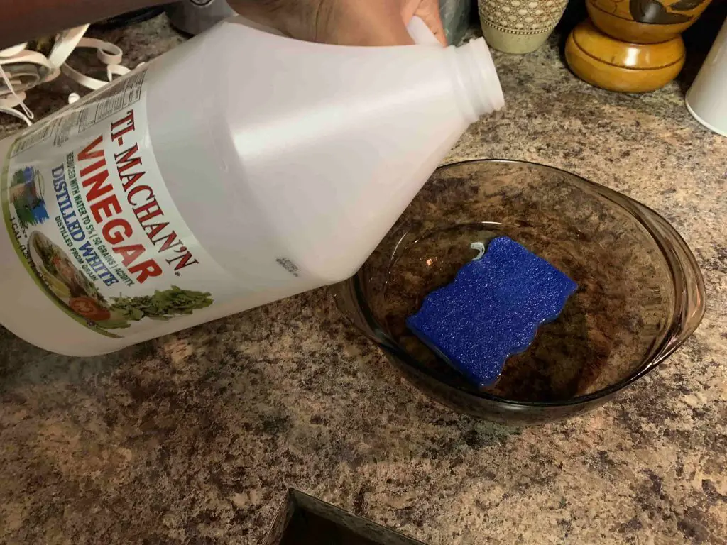 dish sponge being soaked in vinegar