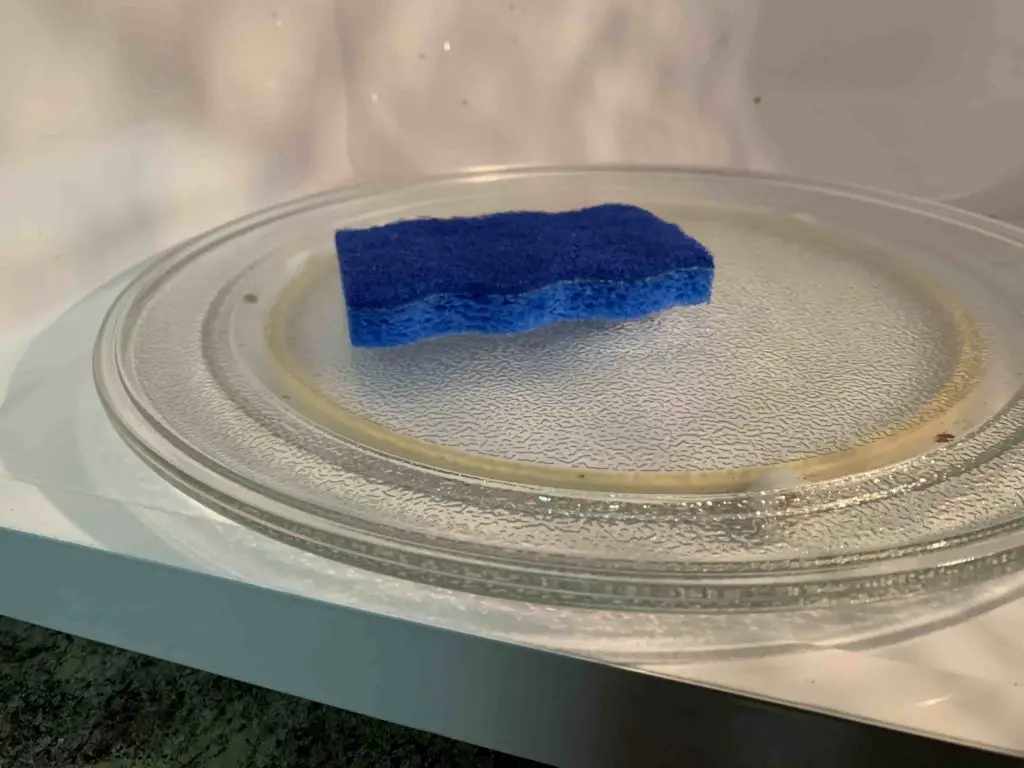 Sponge inside of a microwave