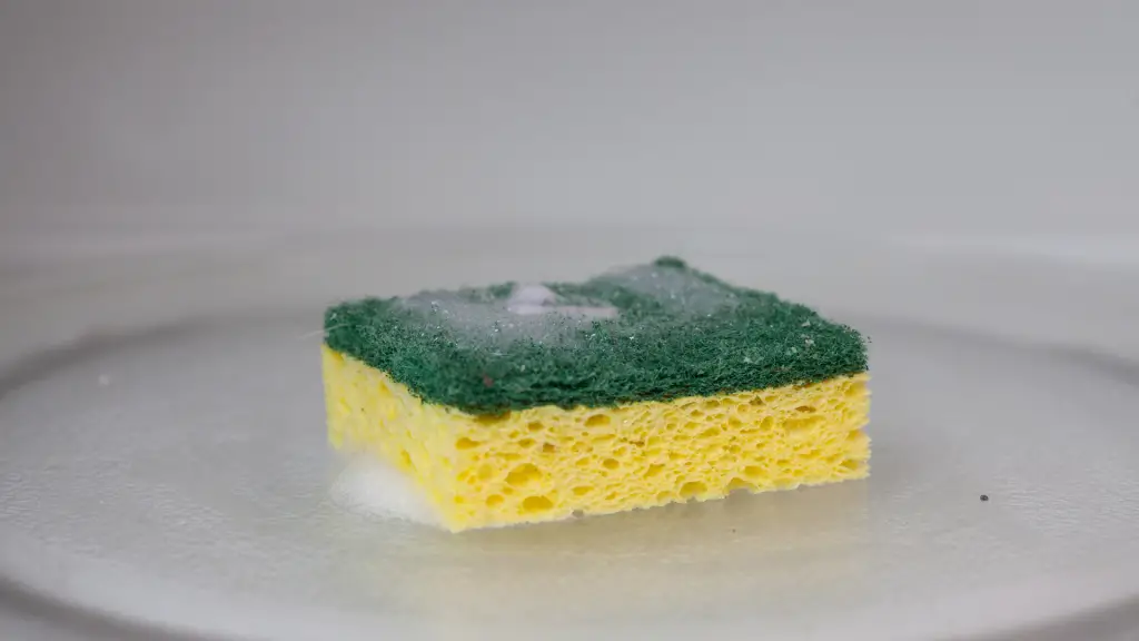 sponge-inside-of-a-microwave