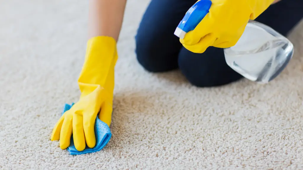 cleaning a carpet with a cloth and a spray