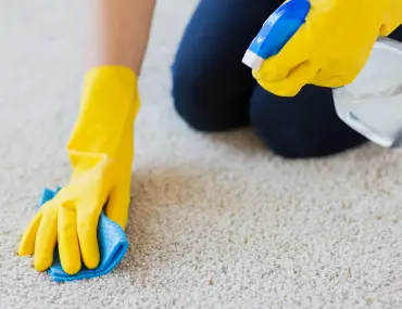 cleaning a carpet with a cloth and a spray