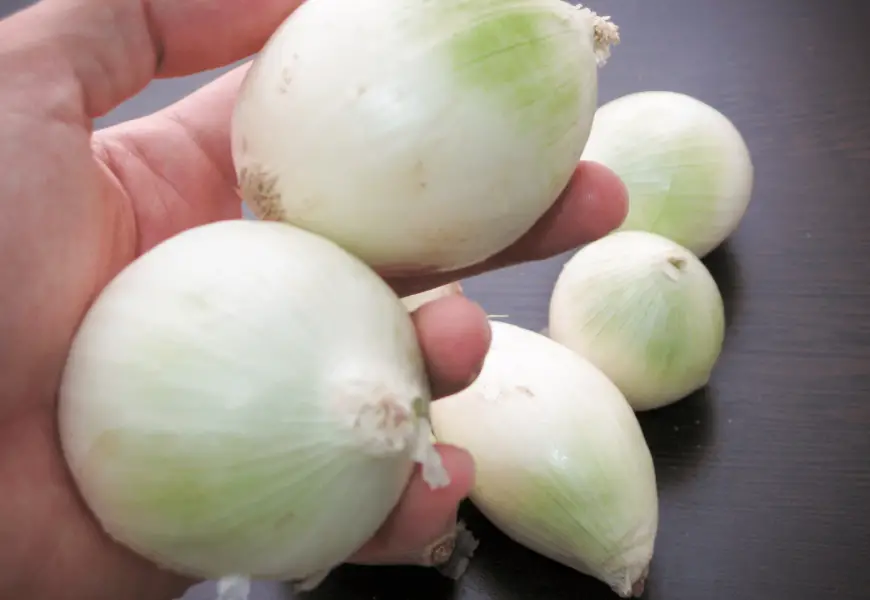 8 ways to get rid of onion smell on hand