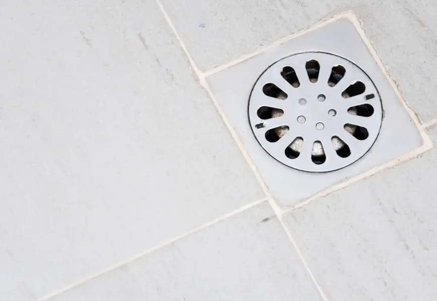 Why does my shower drain smell?