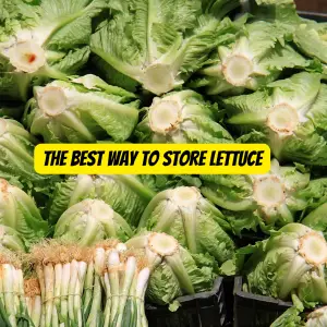 The Best Way to Store Lettuce: Up to Three Weeks