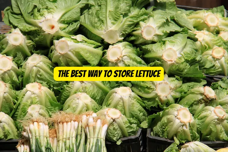 The Best Way to Store Lettuce: Up to Three Weeks