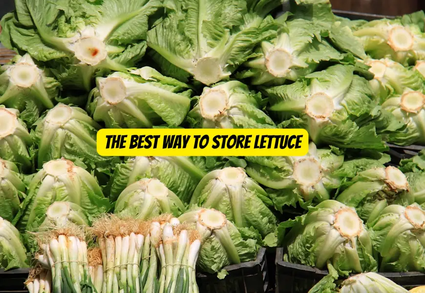 The Best Way to Store Lettuce: Up to Three Weeks