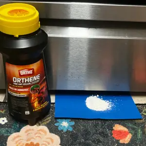How to Kill Cockroaches with Ortho Orthene Fire Ant Killer